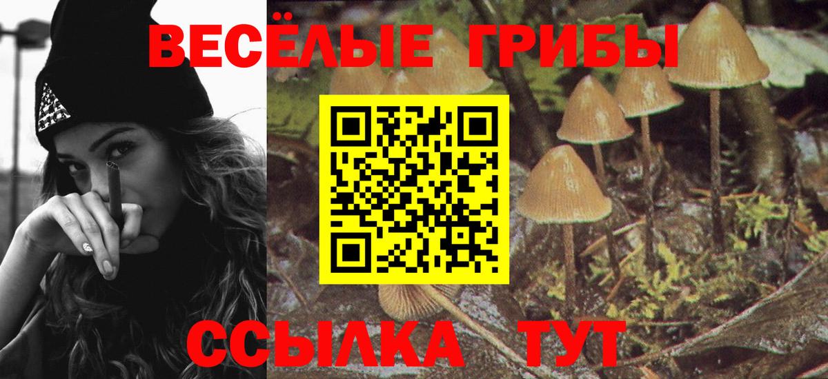 наркота  Галлюциногенные грибы прущие грибы  Вход с VPN  Галлюциногенные грибы мухоморы  Каменка 